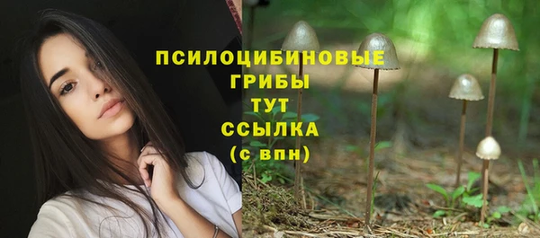 сатива Инта