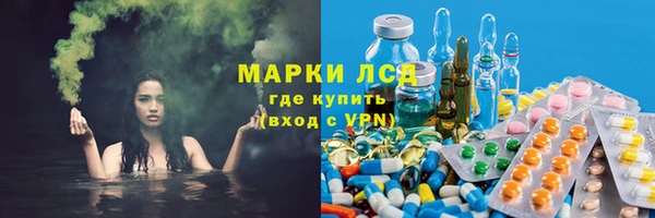 сатива Инта