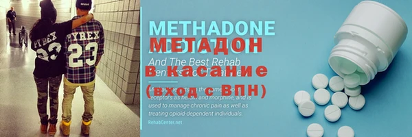сатива Инта