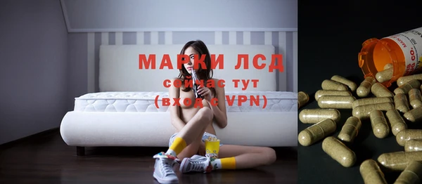 сатива Инта