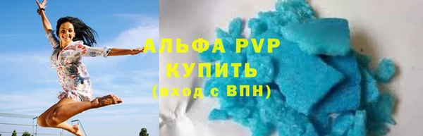 сатива Инта