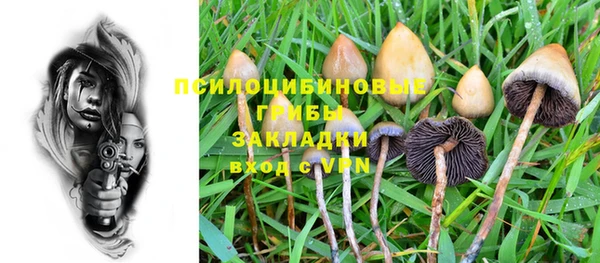 гашишное масло Инсар