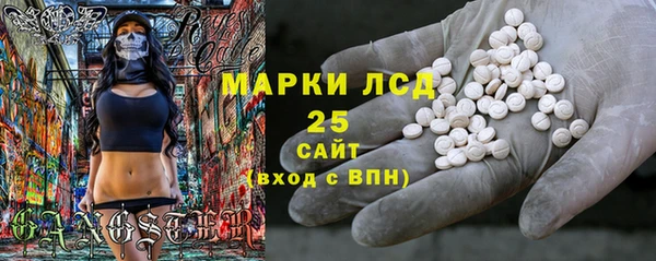 сатива Инта