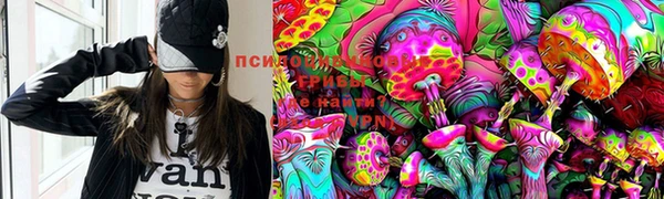 сатива Инта