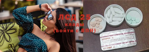 сатива Инта