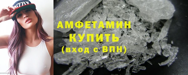 сатива Инта