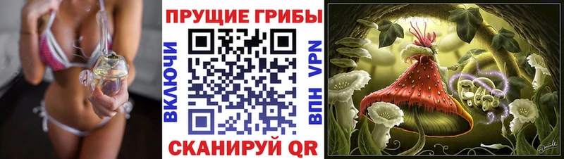 Псилоцибиновые грибы Psilocybine cubensis  Купить  Тайга 